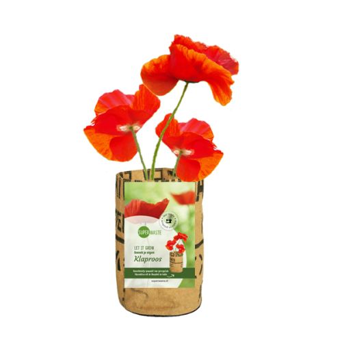 Grow bag flowers or herbs - Image 5